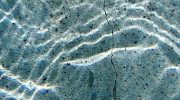 Close Up Pool Crack
