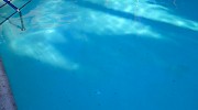Calcium Build-Up in Pool Before
