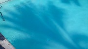Calcium Build-Up in Pool After