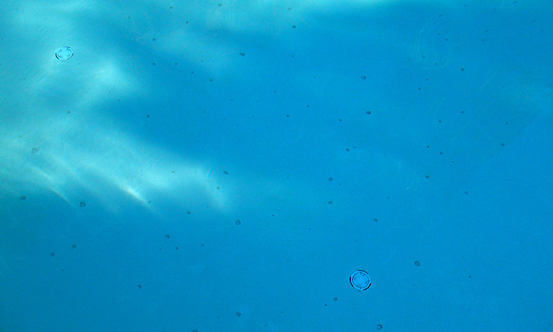 Calcium Nodule Filled Pool