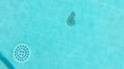 Delaminated Pool Drain