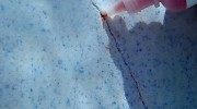 Crack Pool Dye Leak Test