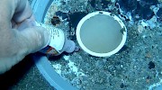 Main Drain Pool Dye Leak Test