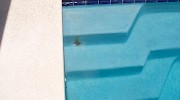 Steps Rebar Rust Pool Stain