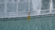 Title Rebar Rust Pool Stain