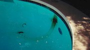 Very Bad Rebar Rust Pool Stain