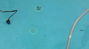 Broken Drain Cover Above View