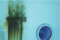 Rebar Stain