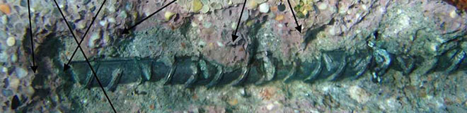 Rebar Details Rebar Details