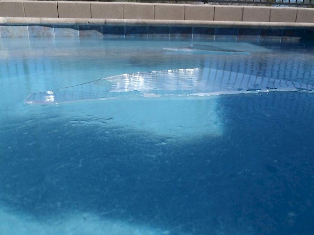 Frozen Pool