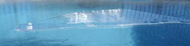 Iced over pool Iced over pool