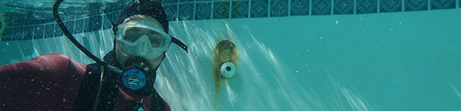 Underwater Underwater